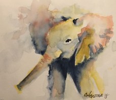 elephant